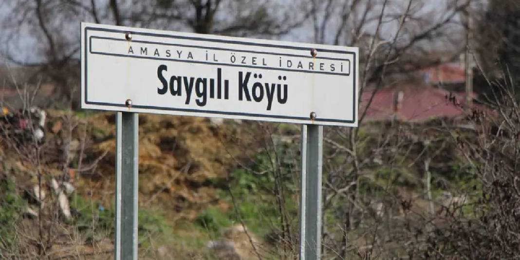 Bu köy leyleklerin yuvası oldu: Taş atmak ve ürkütmek tamamen yasak 5